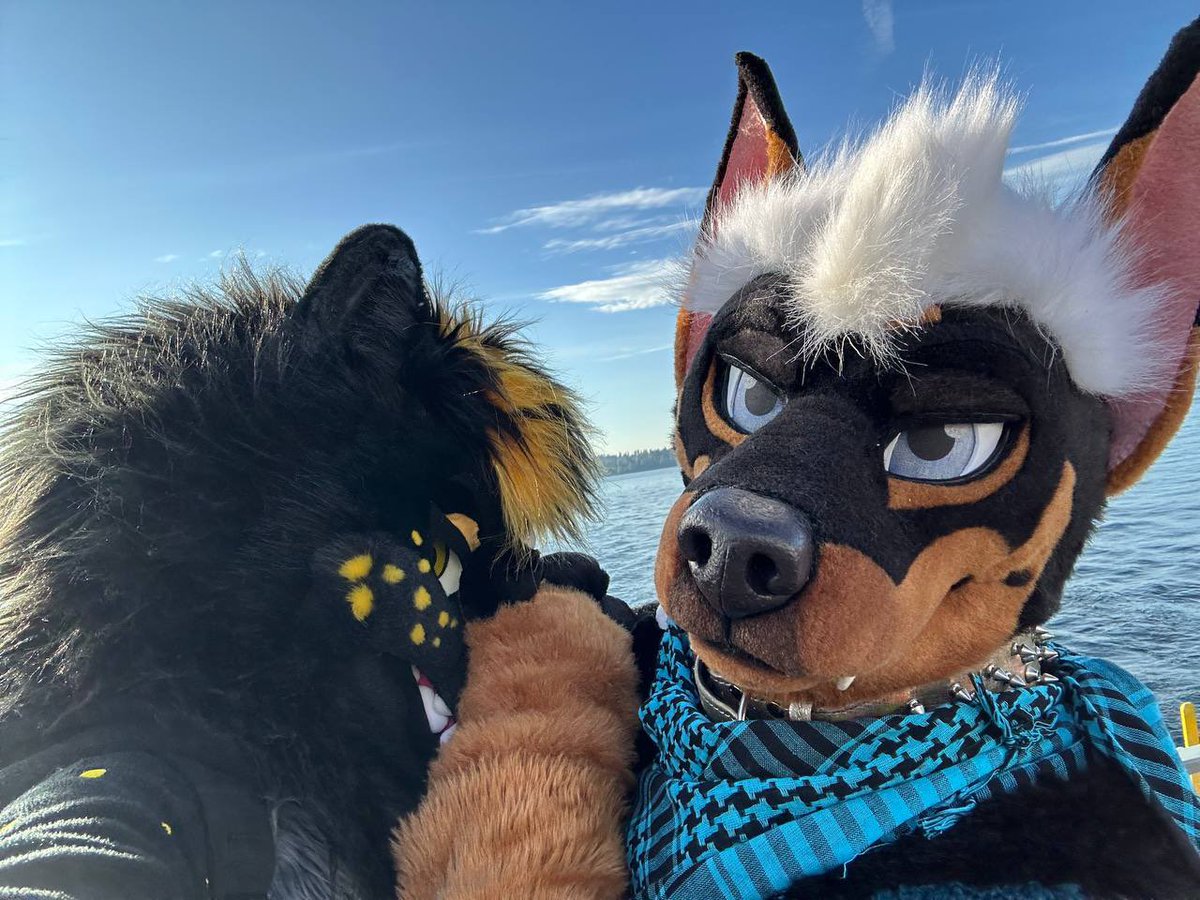 ☆ ash ☆ tweet media