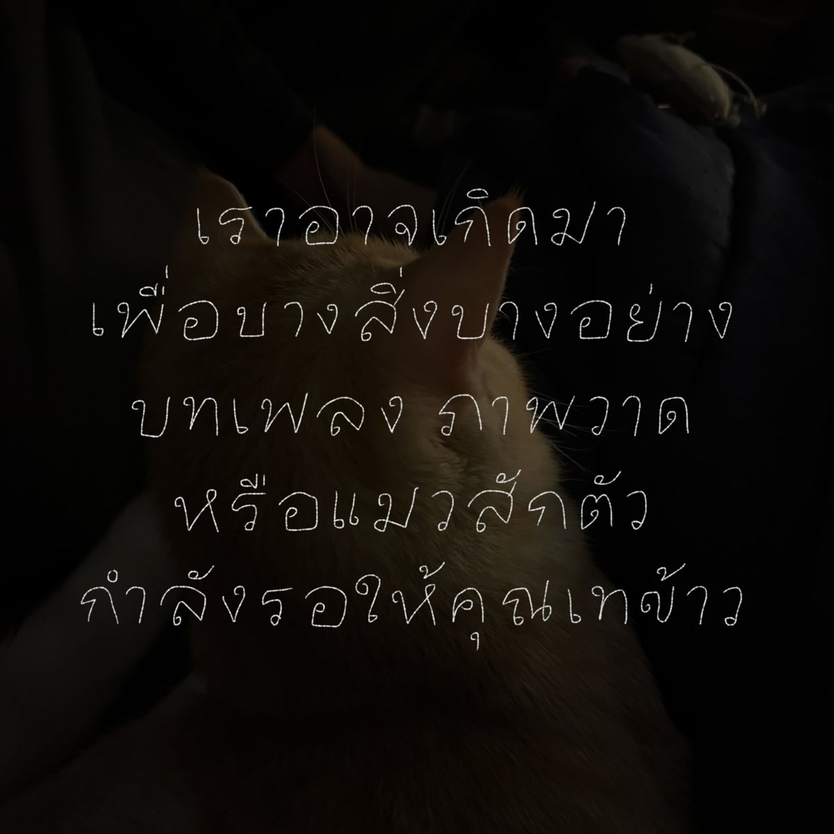 ทริกซีโตะ (@emserotonin) on Twitter photo 