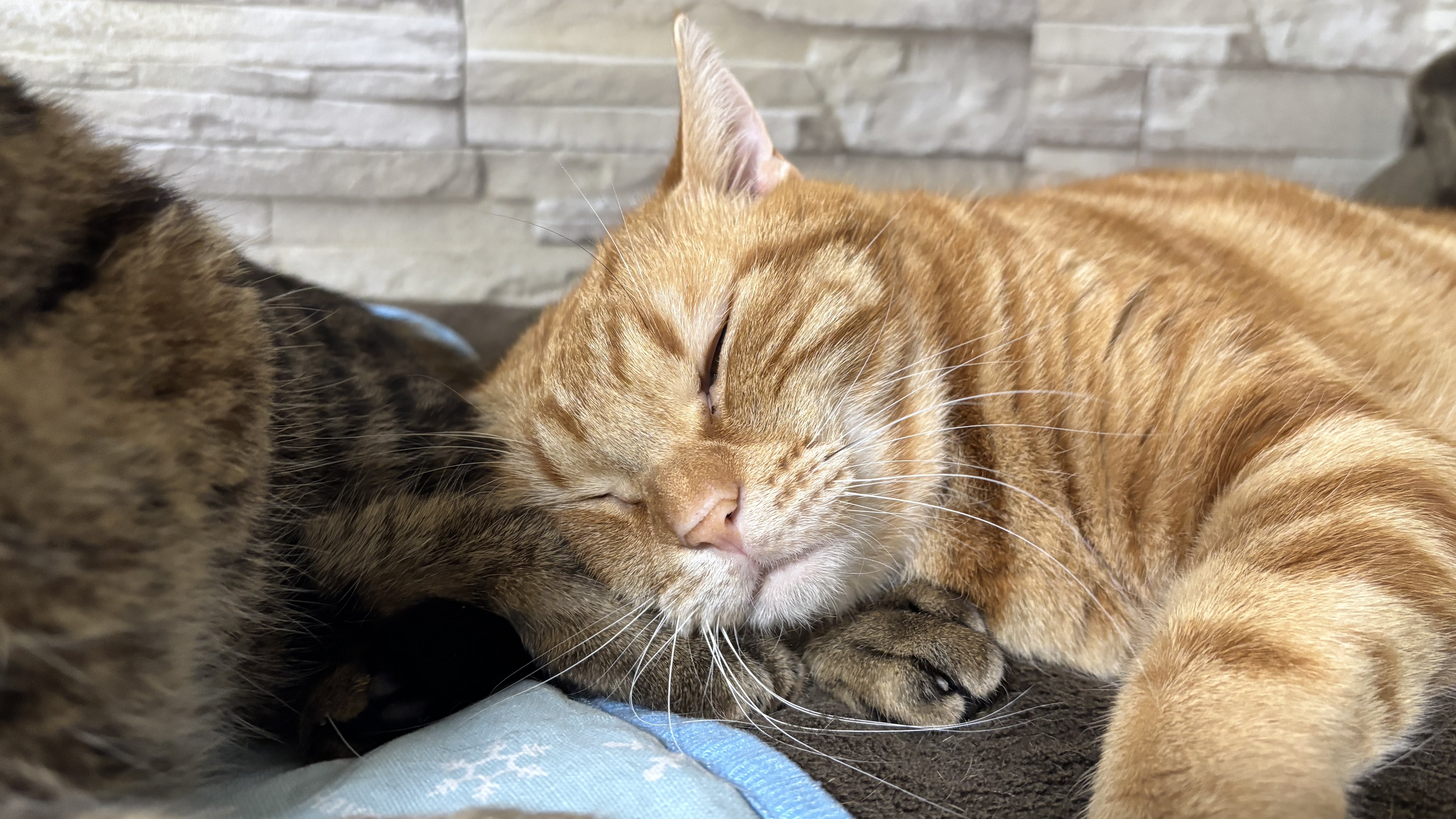 ねこ CIAO (チャオ) まぐろ・かつお・ささみミックス 15g×3袋（CIAO