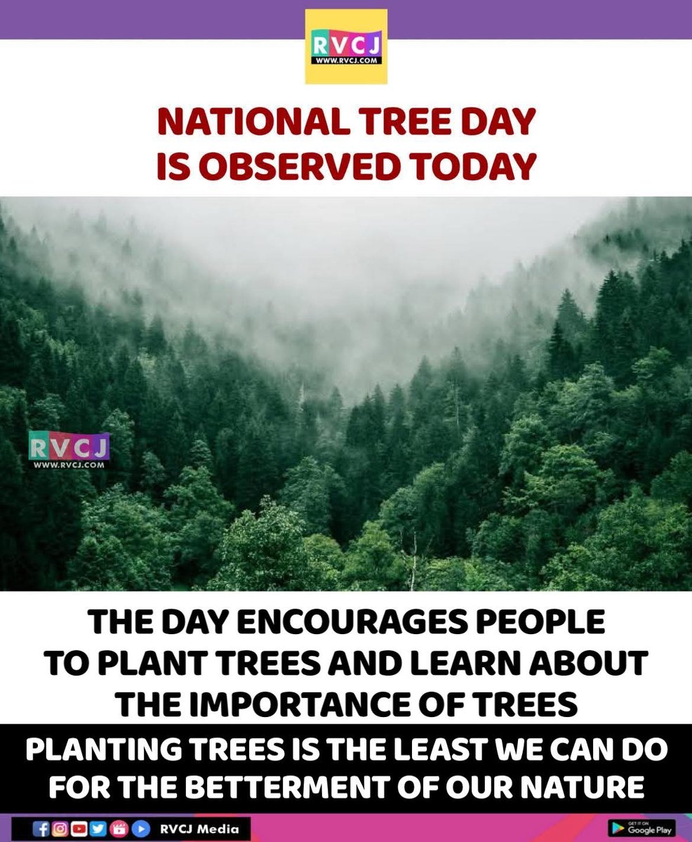RVCJ_FB's tweet image. Tree Day!🌴