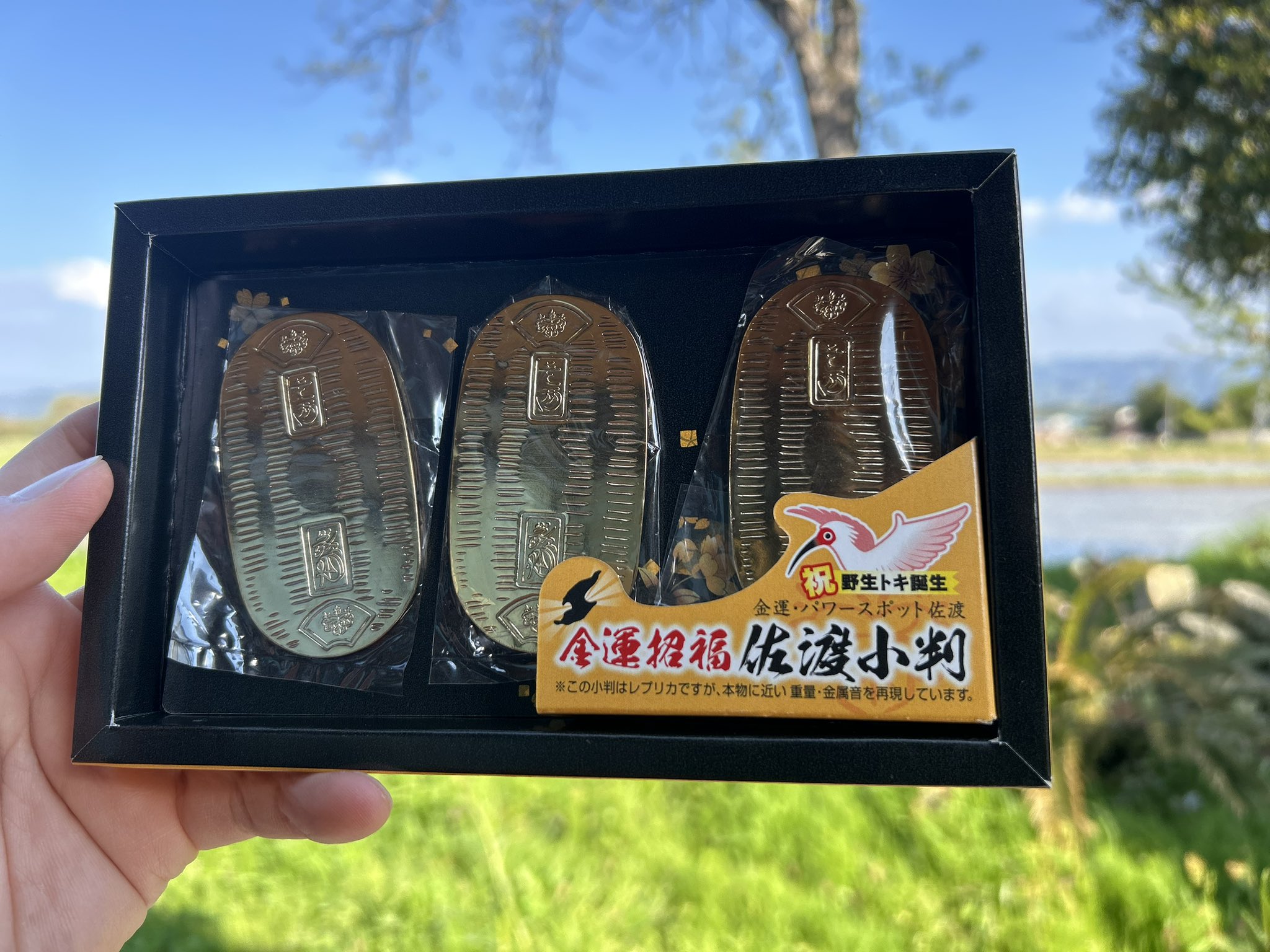 祝㊗【世界遺産登録】佐渡島 金山の砂金！！ ✨㊗️！世界文化遺産登録「佐渡島の金山」✨ ｜ にいがた・あい