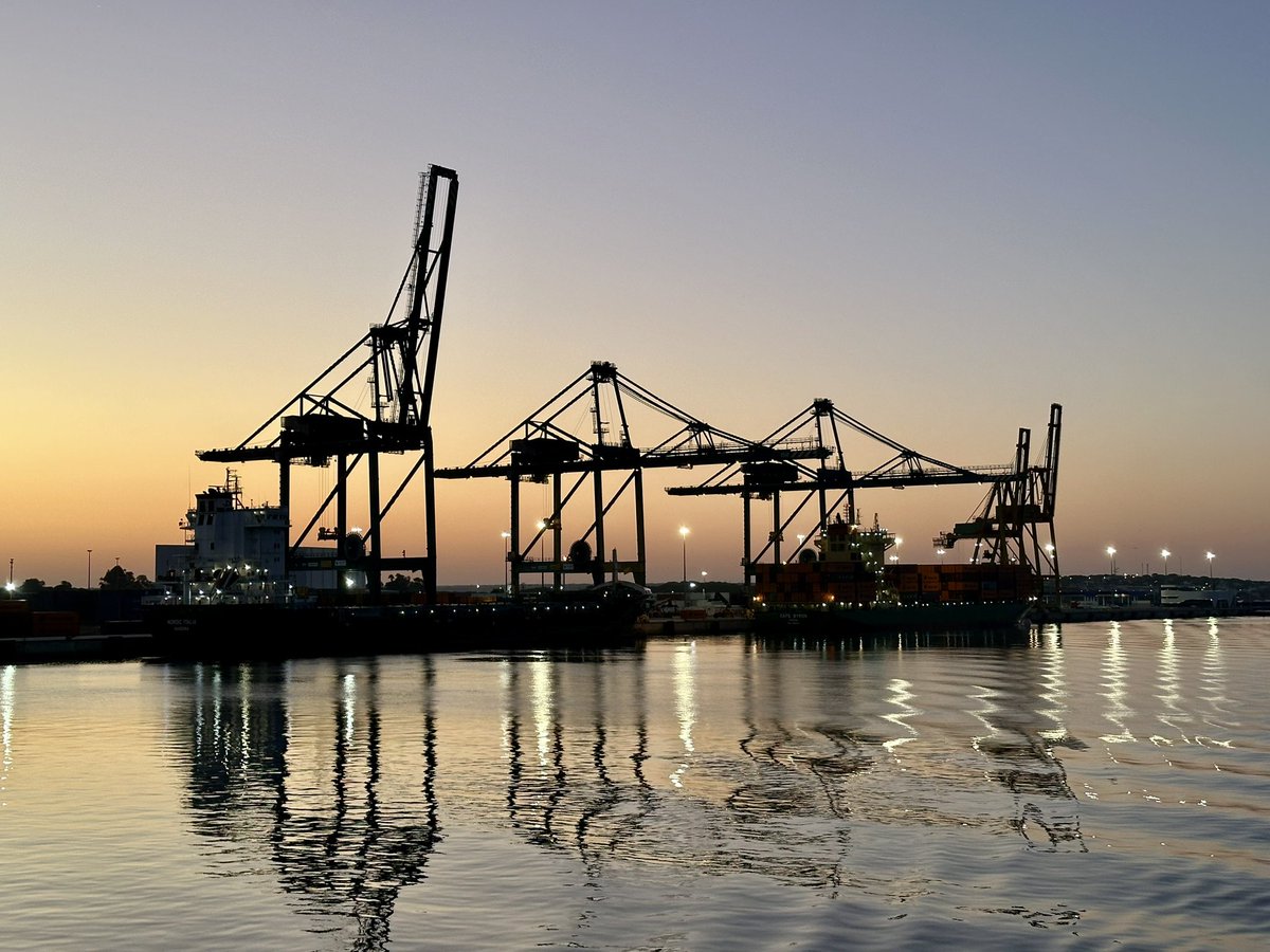 B días Terrícolas.