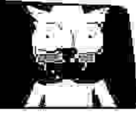 tomasbpedc's tweet image. 