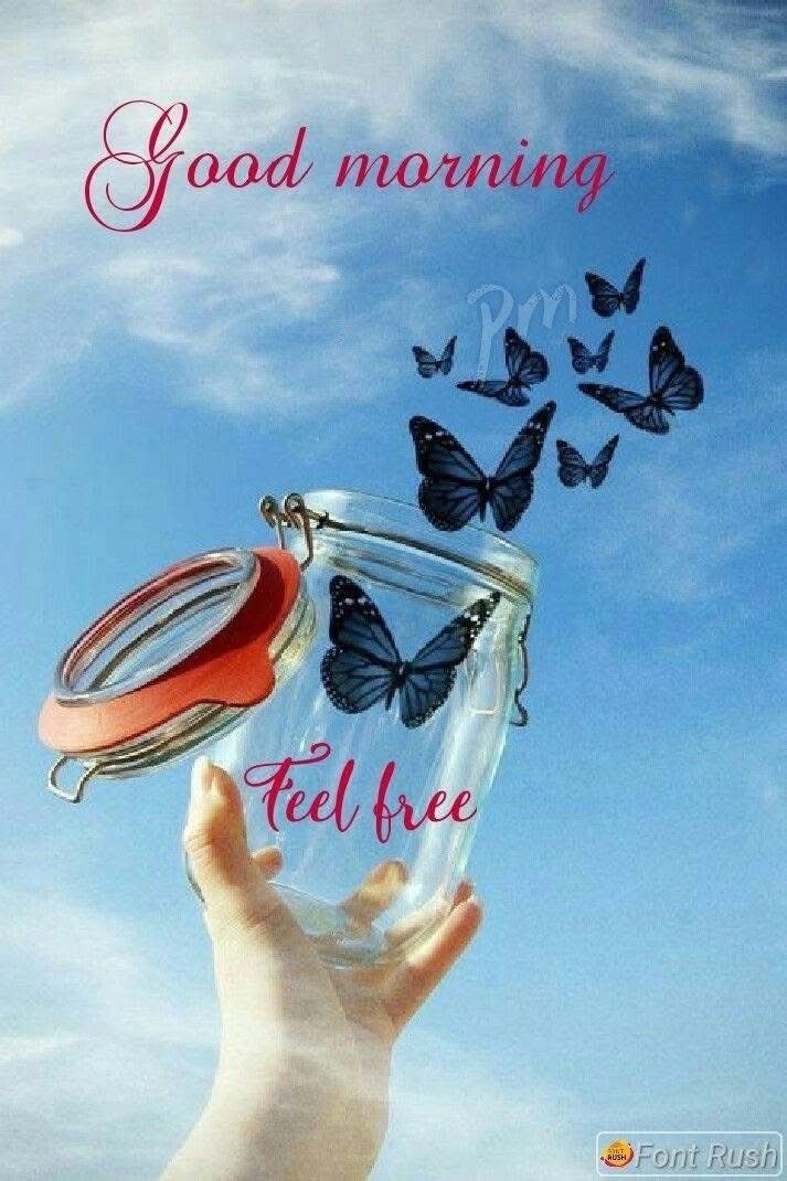Maya170991's tweet image. 🦋