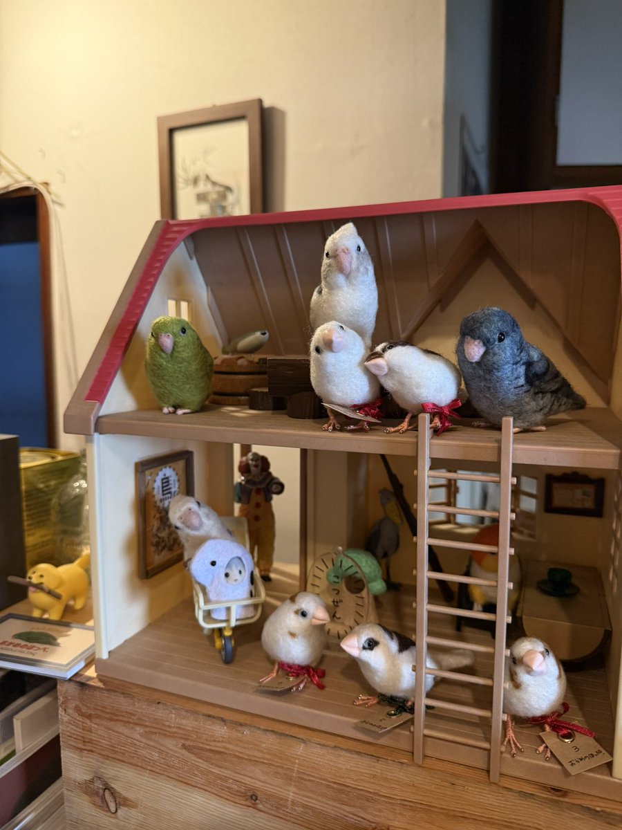 のほさんちのインコハウスでお別れ前の記念撮影📷
みんな新しいお家で幸せになるんだよ👋飼い主さん、待っててね❣️
#じゅうしまつり