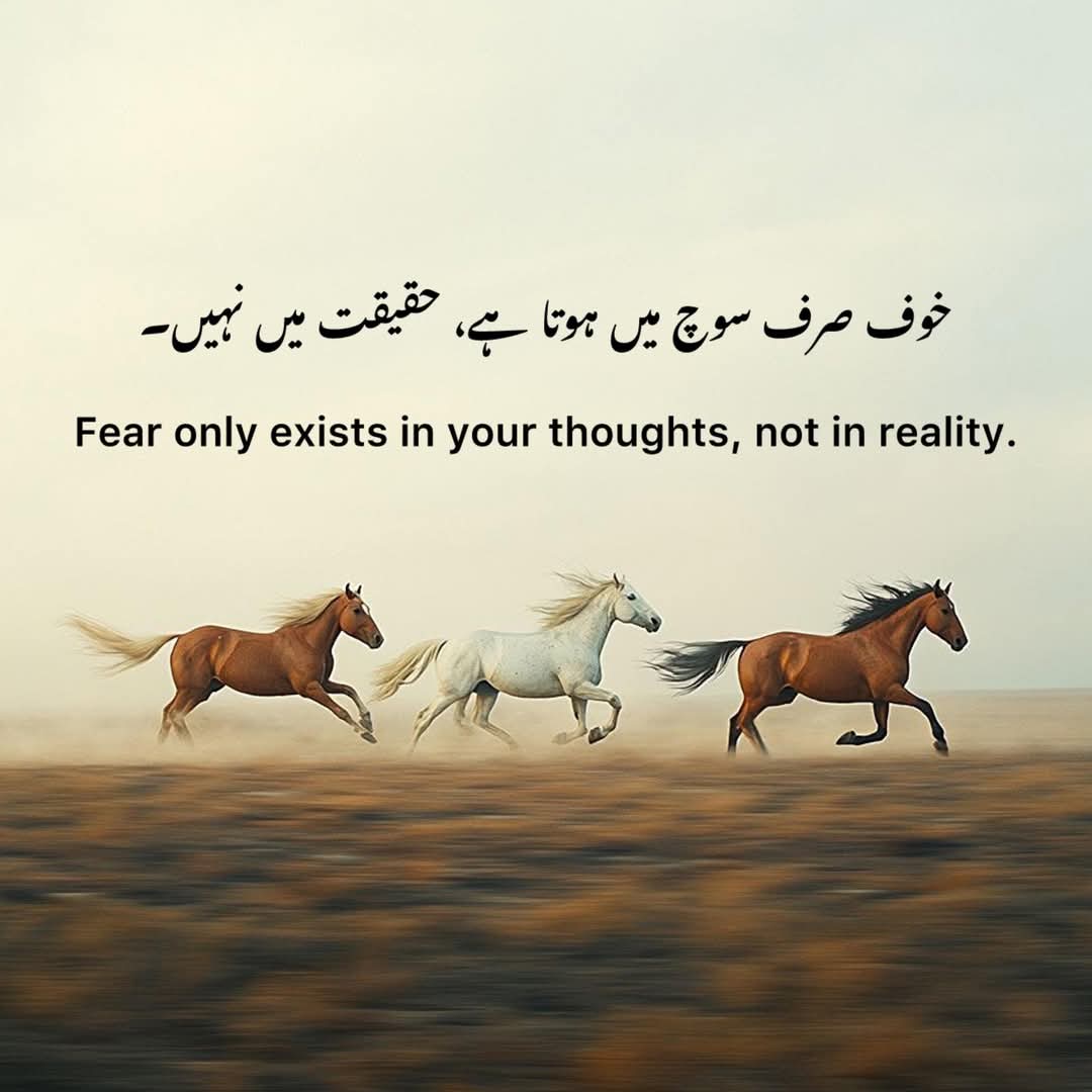 Naghman72616101's tweet image. اور یہ بلا وجہ کے  خوف
 ذہنی مرض  میں مبتلا کر دیتے ہیں ۔۔۔۔۔۔