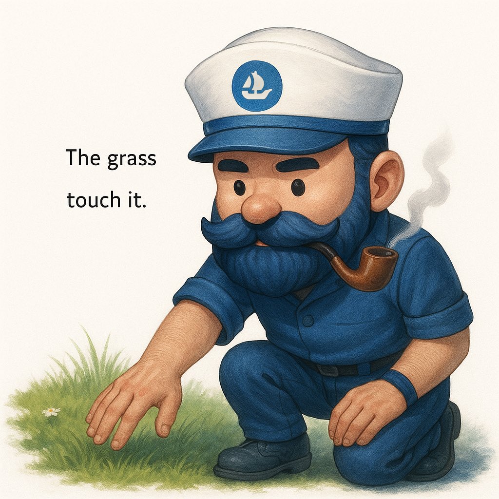 #openseatouchgrass