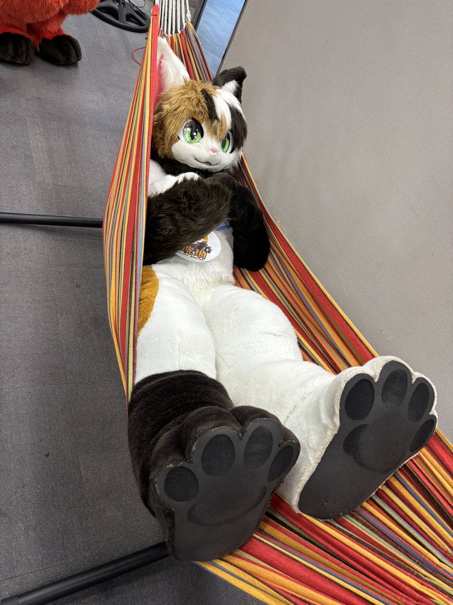 #みけこん2025なつ 
琥珀くん〜！