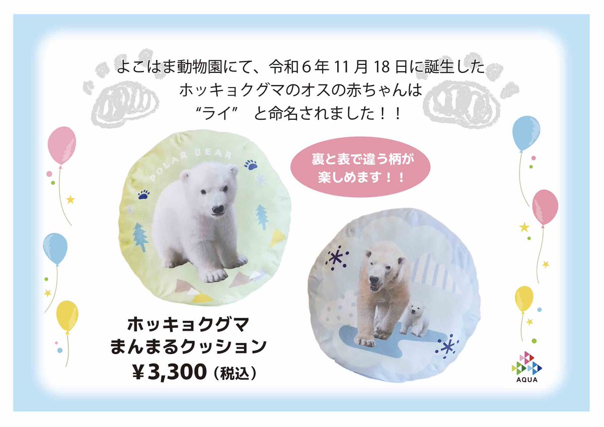 ZOORASIA_office's tweet image. 新商品「ズーラシアホッキョクグマまんまるクッション」(税込3,300円)が入荷しました!
クッションとしてはもちろん、かわいいホッキョクグマの写真を楽しむにもぴったりの商品です♪ご来店お待ちしております!#ズーラシア #ZOORASIA #ホッキョクグマ #PolarBear #アクアテラスギフトショップ