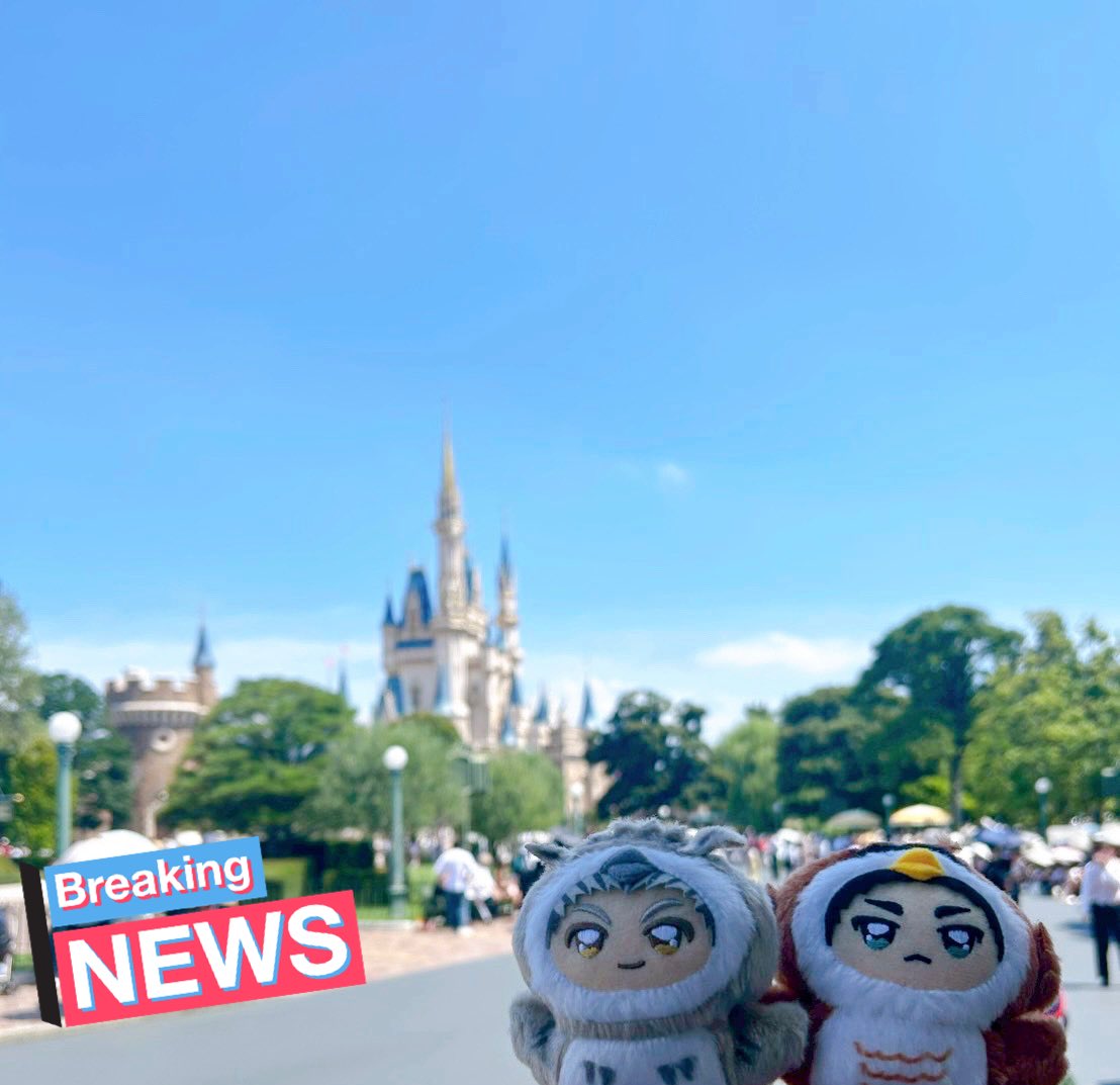 sasapowan's tweet image. 基本的にポーチにみちみちに2匹詰めてお出かけのためへろへろの耳のぼさん　今度ブラッシングしようね…