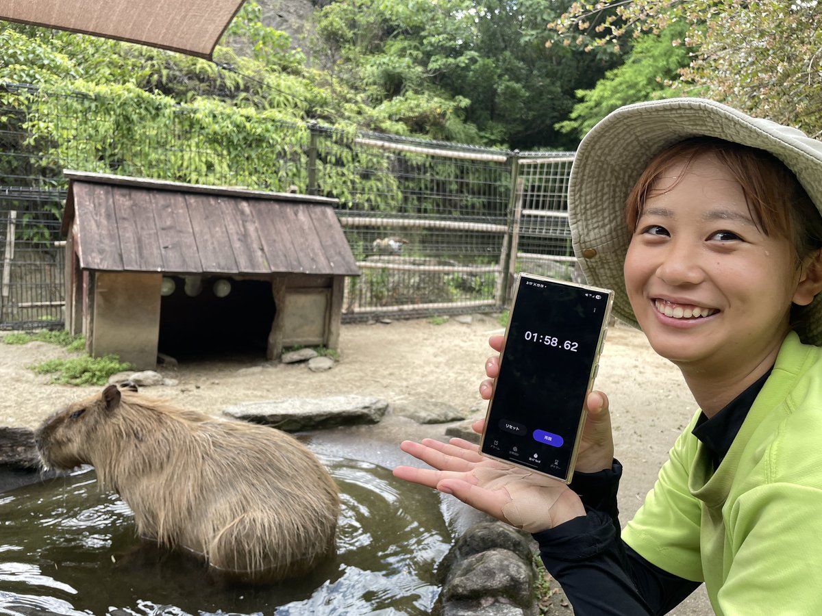 capybarabath's tweet image. 【長崎】
今年初挑戦のミツト。前年王者ヘチマの兄弟です。
記録は1分58秒62。かなり好タイムです。さあ、兄弟対決の行方は?