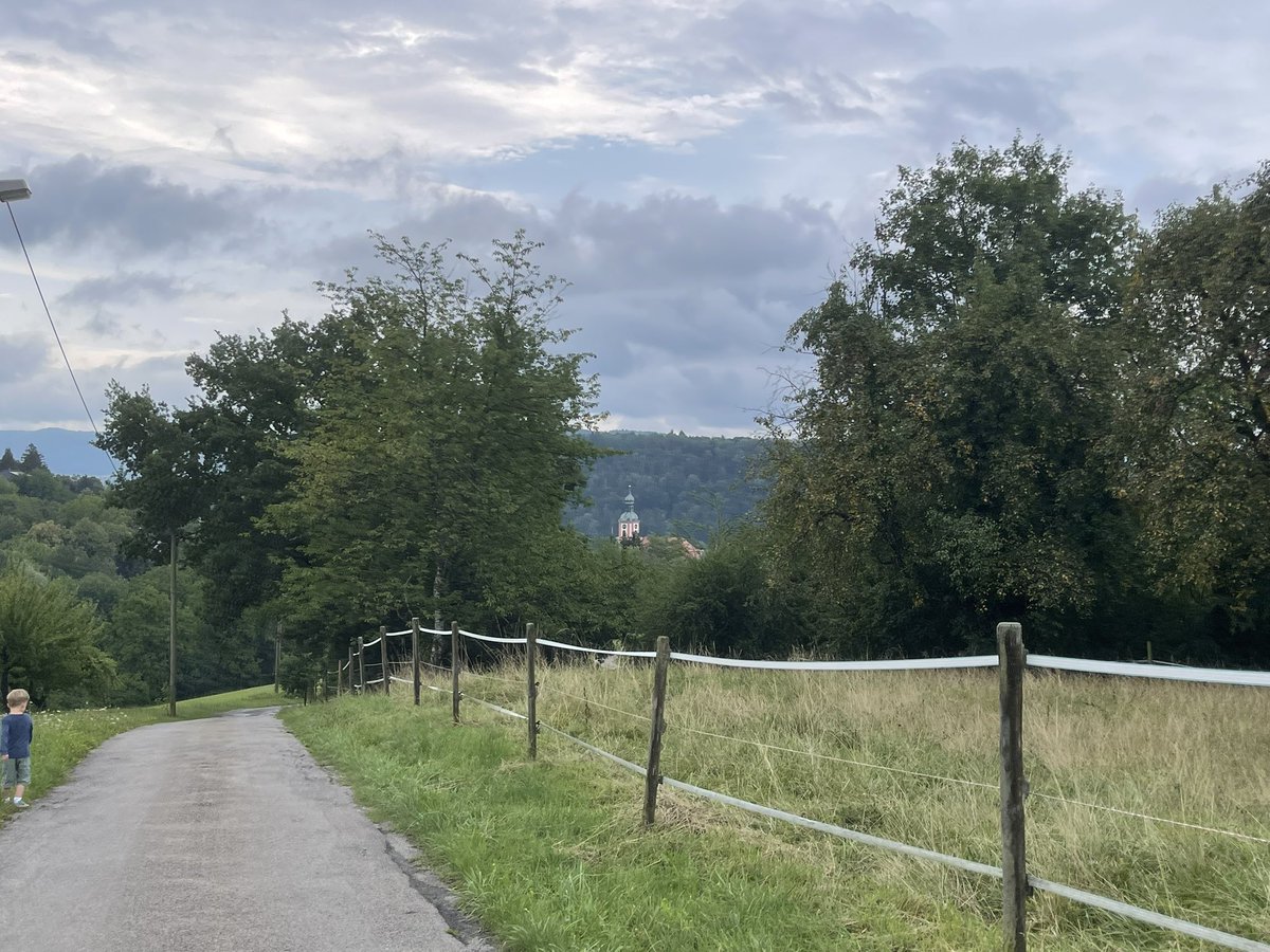 e_dampier's tweet image. Civilised pre Sunday mass walk in the green hills of southern Germany. Unusually wet and cold summer. Trees full of apples and pears. For some reason it was not a great year for plums or other stony fruit with the exception of cherries.