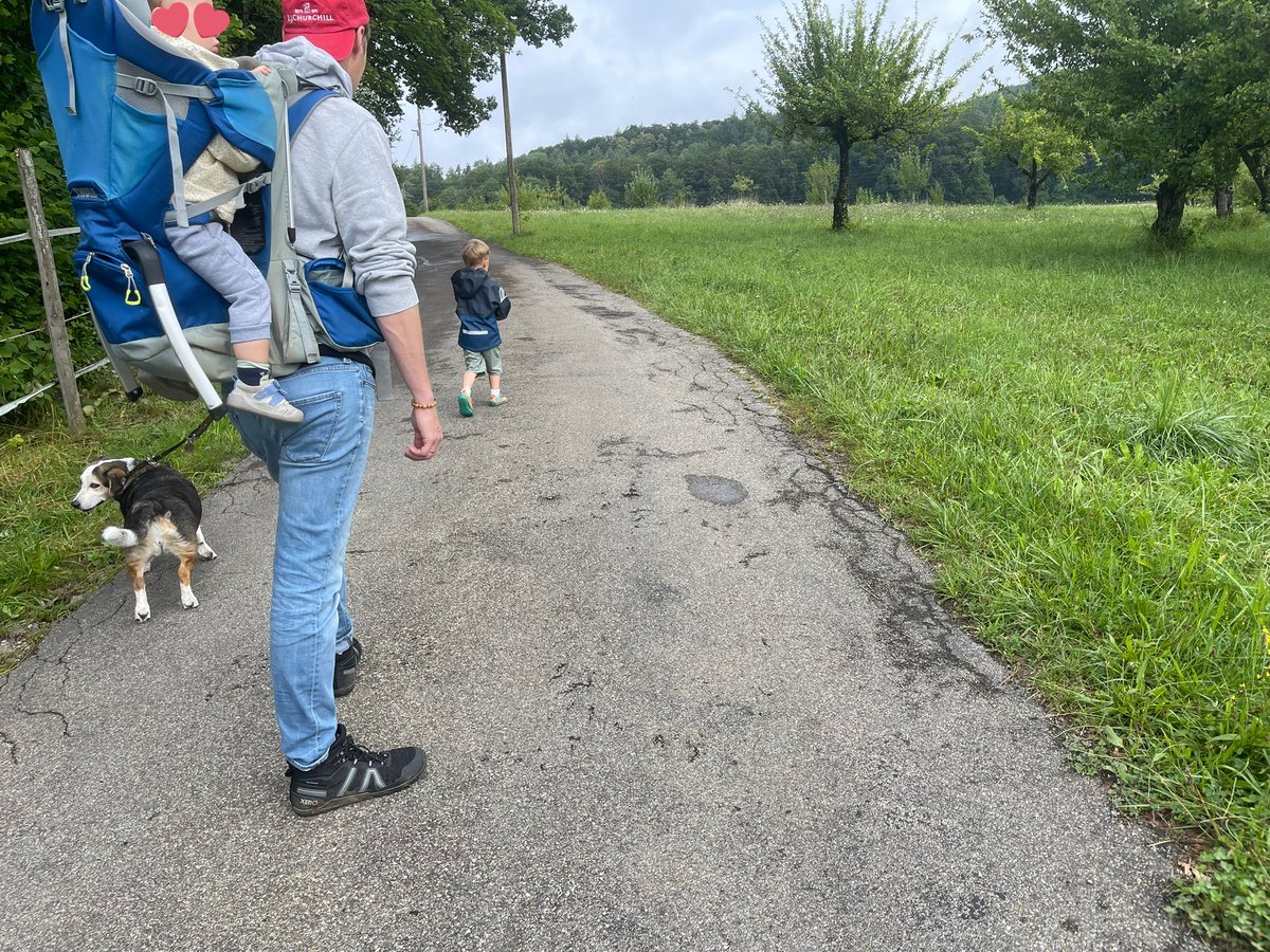 e_dampier's tweet image. Civilised pre Sunday mass walk in the green hills of southern Germany. Unusually wet and cold summer. Trees full of apples and pears. For some reason it was not a great year for plums or other stony fruit with the exception of cherries.