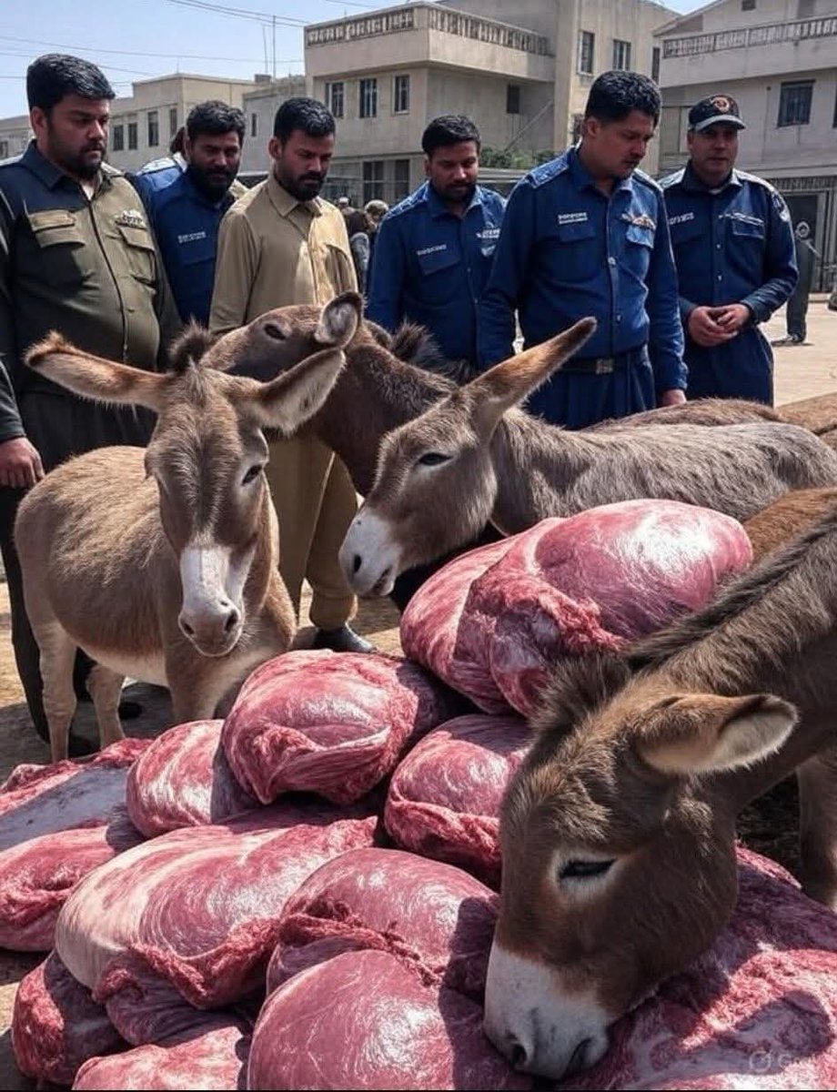 پاکستان میں ایک ایسی نسل بھی ہے جو ہزاروں کلومیٹر دور سونگھ کر یہ بتا سکتے کہ یہ گوشت سور کا ہے لیکن اسلام آباد راولپنڈی کے ہوٹلوں پر کھایا جانے والا گدھوں کا گوشت نہی پہچان پائے 😅۔۔۔د