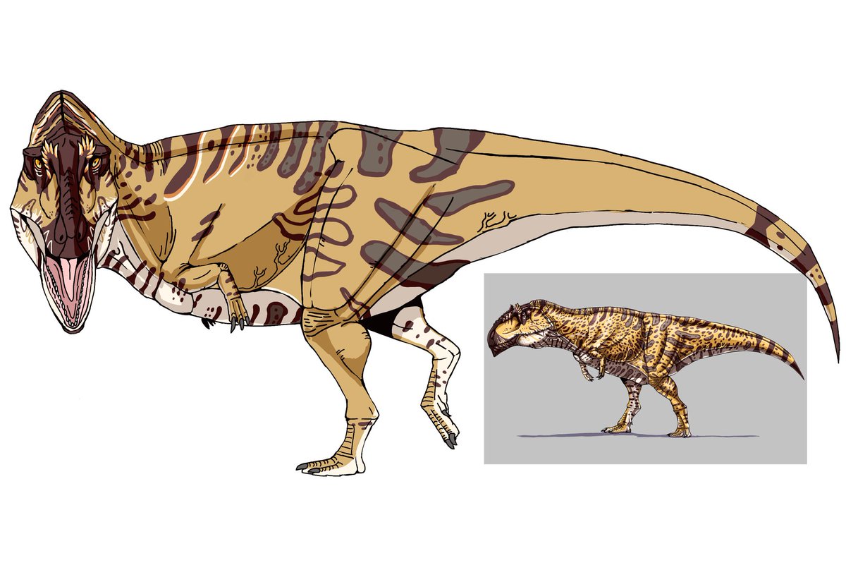 KonalemonusRex7's tweet image. 放置し過ぎ