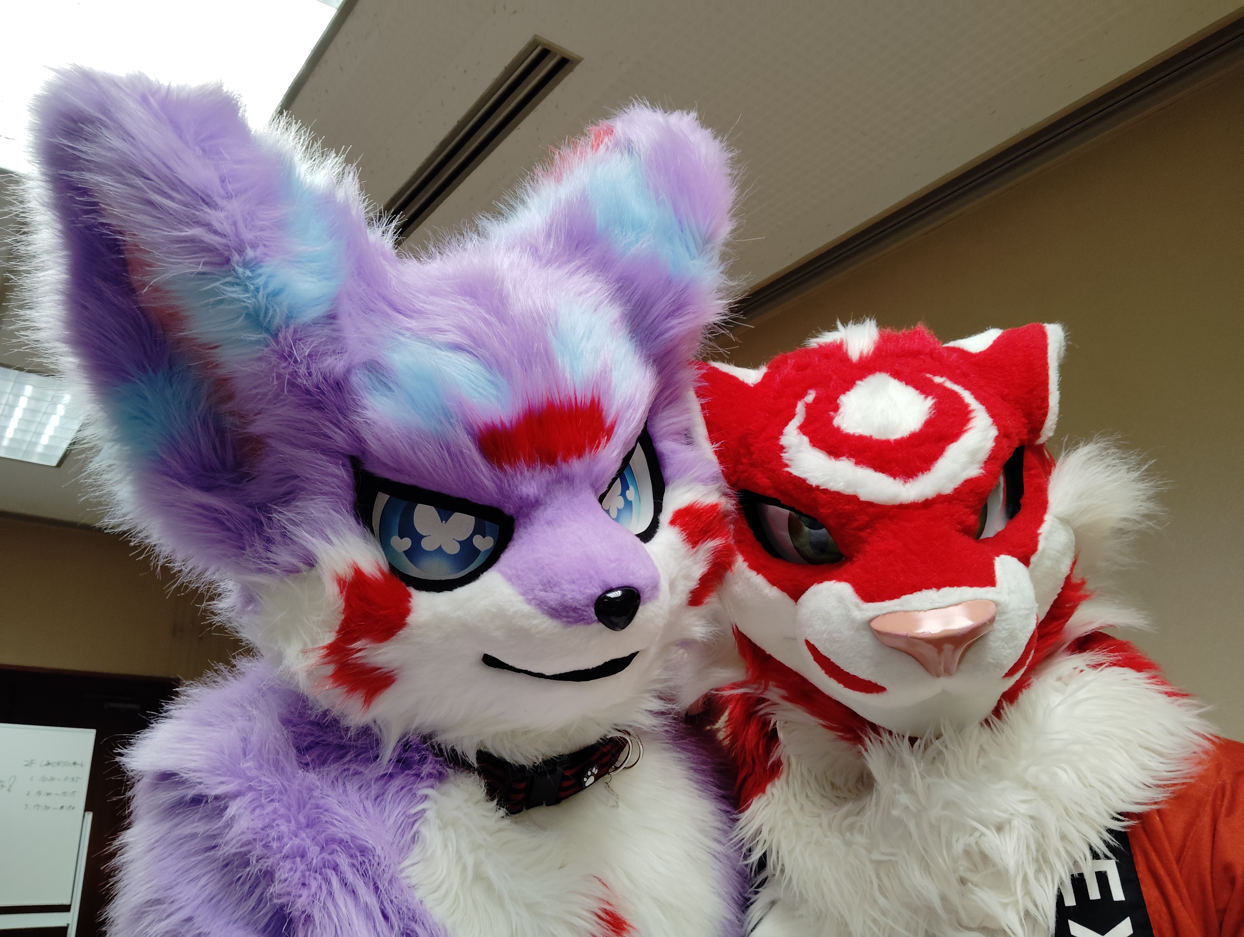 燈@泉南 (@akari_far) / X