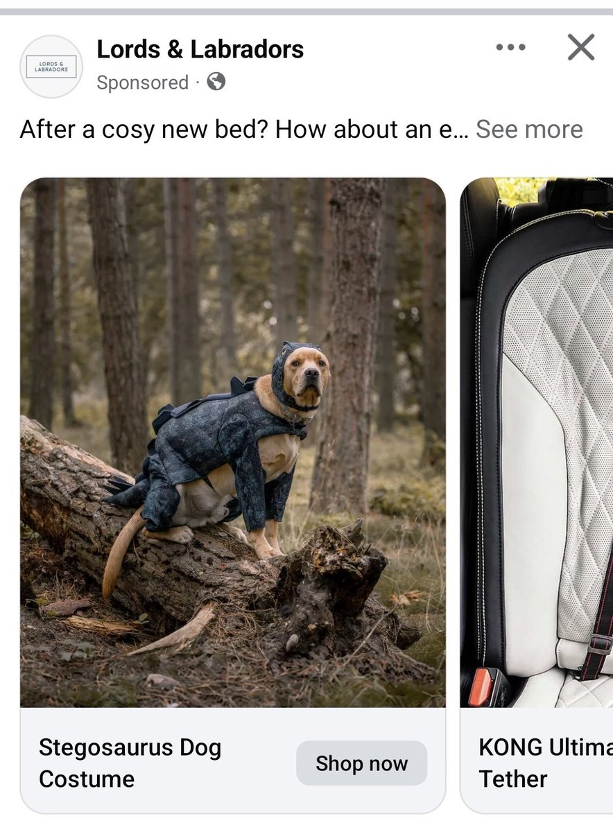 kejamieson_'s tweet image. The sponsored ad 😂

G would *hate* me