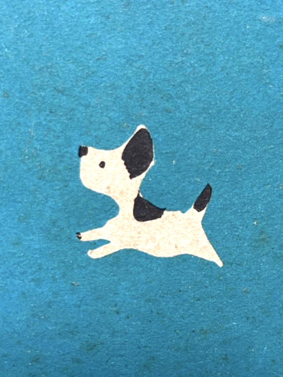 特別価格★【原画】『ディモルフォセカ』（花　植物　犬　チワワ　パピヨン　癒し） 特別価格☆【原画】『ディモルフォセカ』（花 植物 犬 チワワ