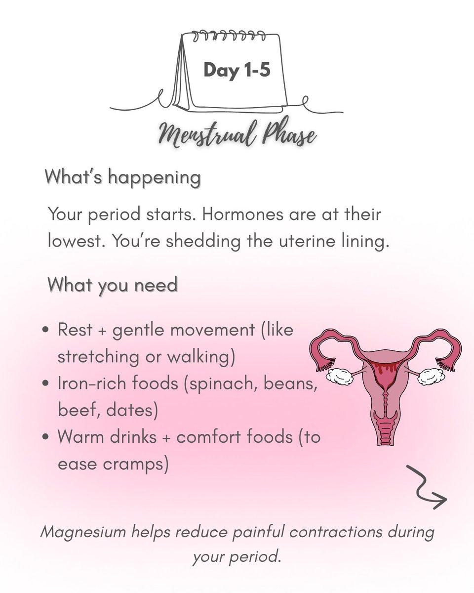 HollysWellness's tweet photo. Understanding your cycle (a thread) 
Your body isn’t the same every week, so why treat it like it is? Ladies...tag your boyfriend, husband, bestie, or that guy that says "what did I do now?" every month😂here’s what you need to know 👇🏼

#health #supplement 
#WAFCON2025 #BBNaija https://t.co/jHZQb0y1Mv