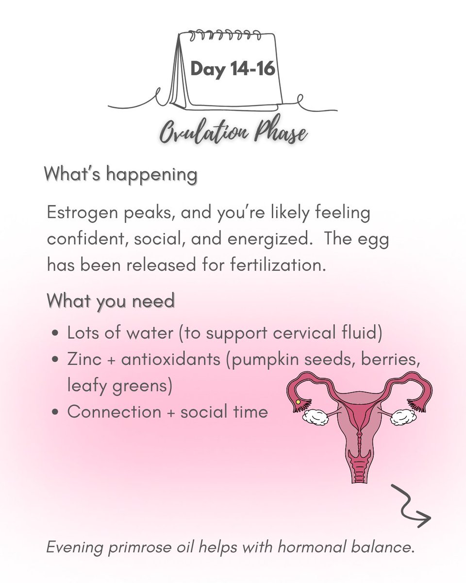 HollysWellness's tweet photo. Understanding your cycle (a thread) 
Your body isn’t the same every week, so why treat it like it is? Ladies...tag your boyfriend, husband, bestie, or that guy that says "what did I do now?" every month😂here’s what you need to know 👇🏼

#health #supplement 
#WAFCON2025 #BBNaija https://t.co/jHZQb0y1Mv