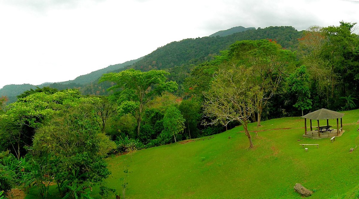 PARQUE NACIONAL GUATOPO. #Miranda y #Guarico. Fue decretado el 28 de marzo de 1958 por la Junta de Gobierno presidida por el contralmirante Wolgang Larrazábal. Comprende una superficie aproximada de 122.464 hectáreas. #ObrasDeLaDemocracia