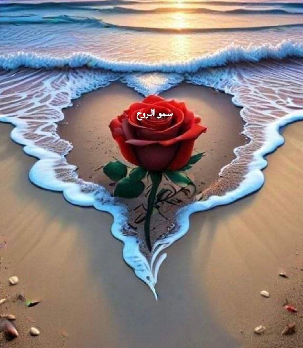 سموالروح (@sm0alroo7) on Twitter photo 