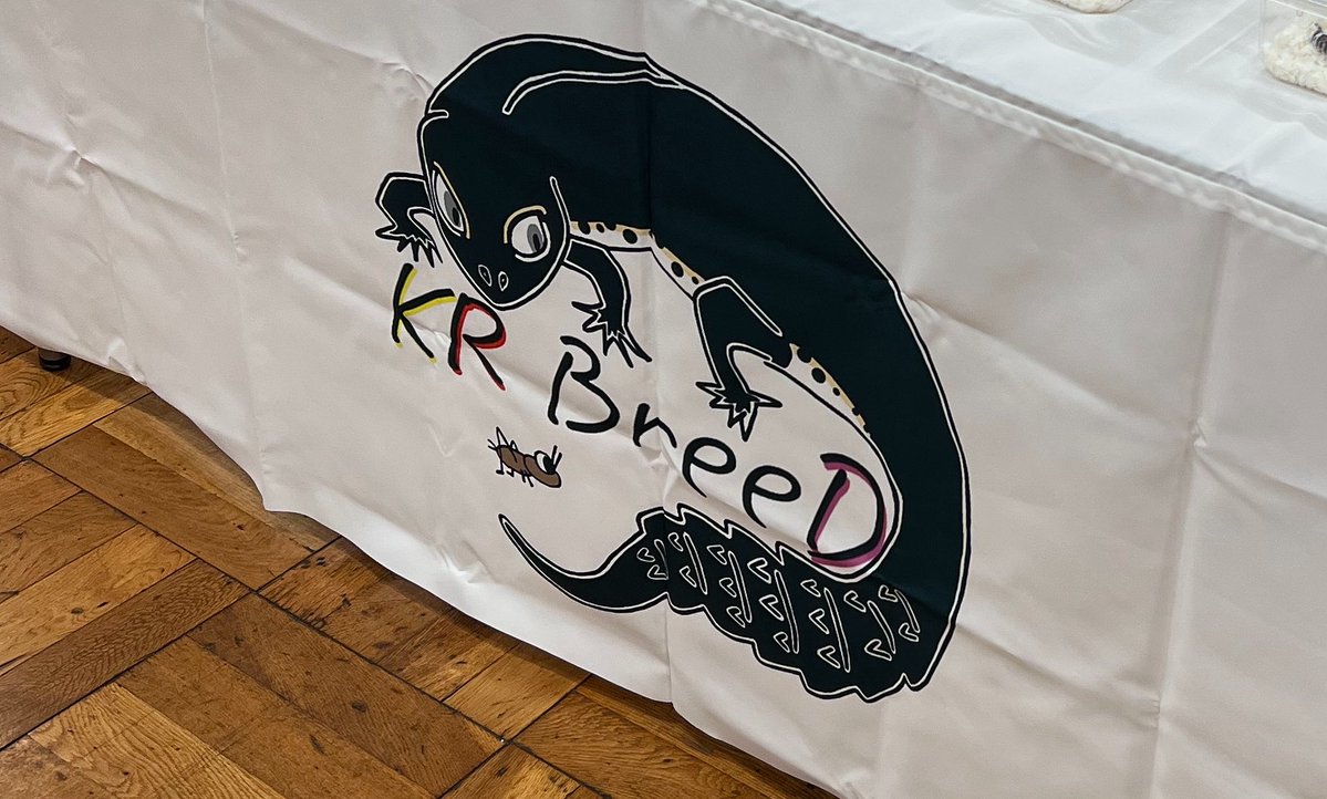 KRBreeD_2's tweet image. 本日はイベントありがとうございました☺️
お迎えもありがとうございました！

色々な方お話しできて楽しかった〜🦋
また次回、特に予定ないですが。🤣
またよろしくお願いします！
イベントに出る時はまたお知らせしまーす！

#エキスポ #EXPO
#レプタイルズエキスポ