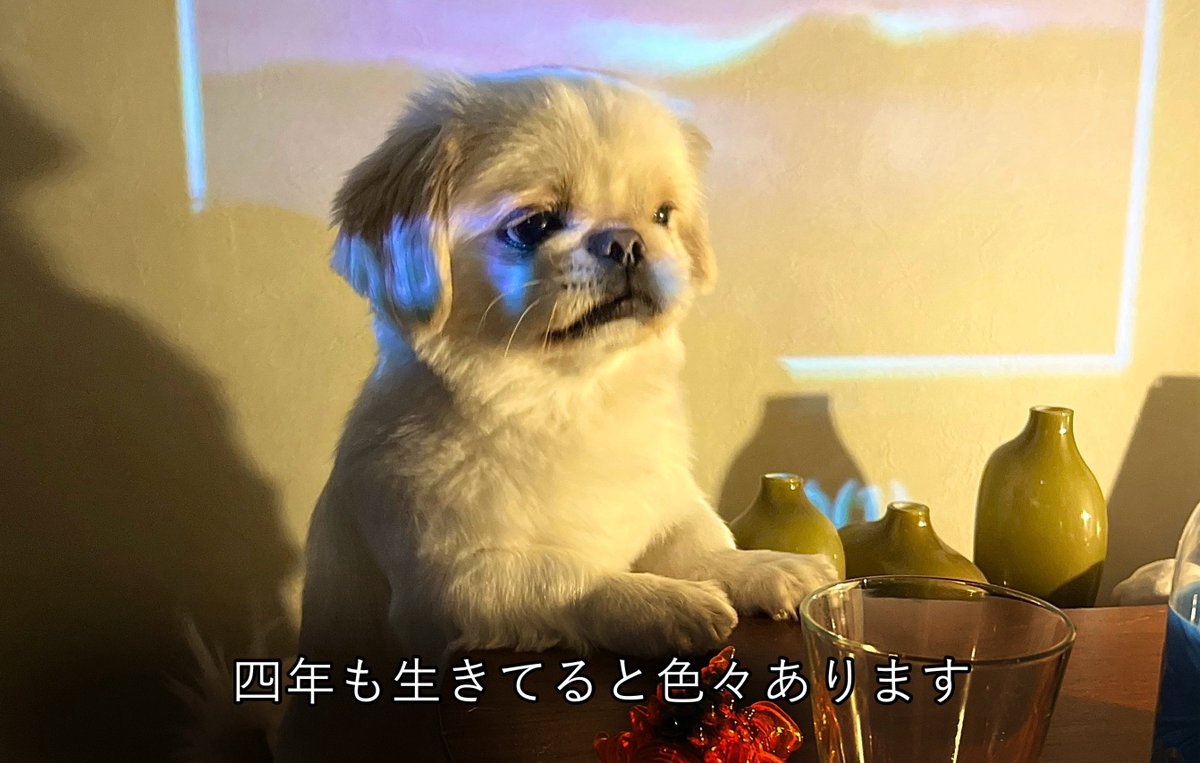 𝐿𝑂𝑉𝐸𝑌𝑂𝑈 (@the_mucho_world) on Twitter photo 