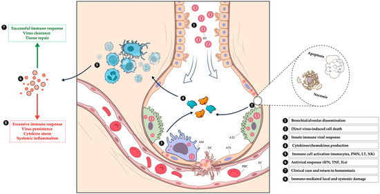 JCM_MDPI's tweet image. #mdpijcm
🛎️Welcome new review paper
Citations 3🙌 
Role of Respiratory Viruses in 𝐒𝐞𝐯𝐞𝐫𝐞 𝐀𝐜𝐮𝐭𝐞 𝐑𝐞𝐬𝐩𝐢𝐫𝐚𝐭𝐨𝐫𝐲 𝐅𝐚𝐢𝐥𝐮𝐫𝐞
by Jean-François Timsit et al. @JF_Timsit  @MediPharma_MDPI
🏫Université Paris-Cité @univ_paris_cite