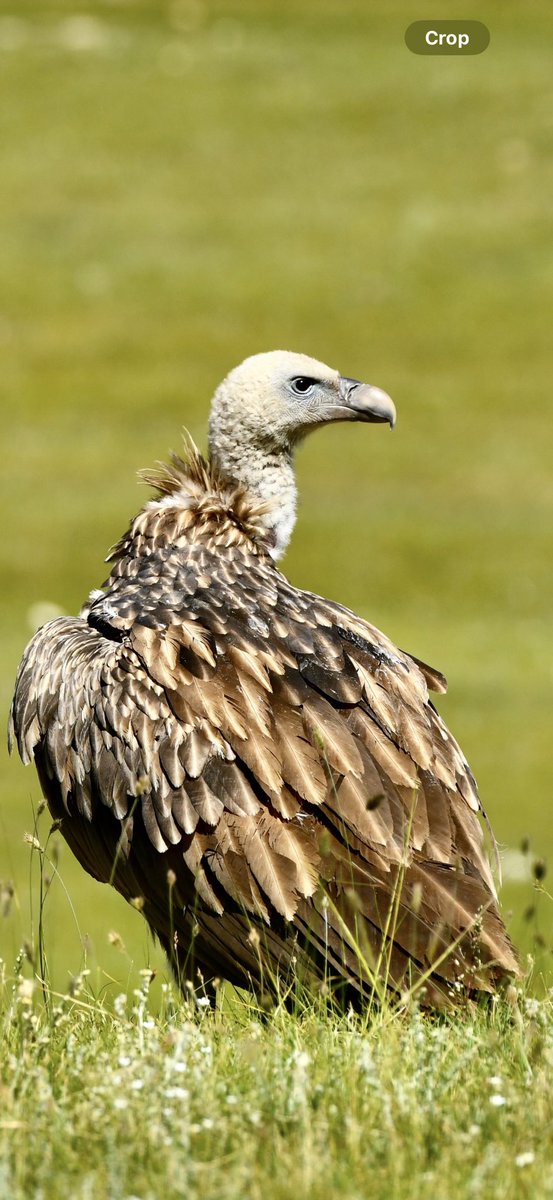 Эр нь царай муутай бх албагүй биз дээ