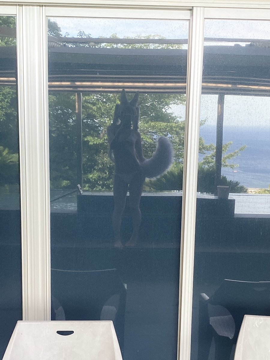 yuyuy_uyu's tweet image. in熱海🤍🚿🏖️