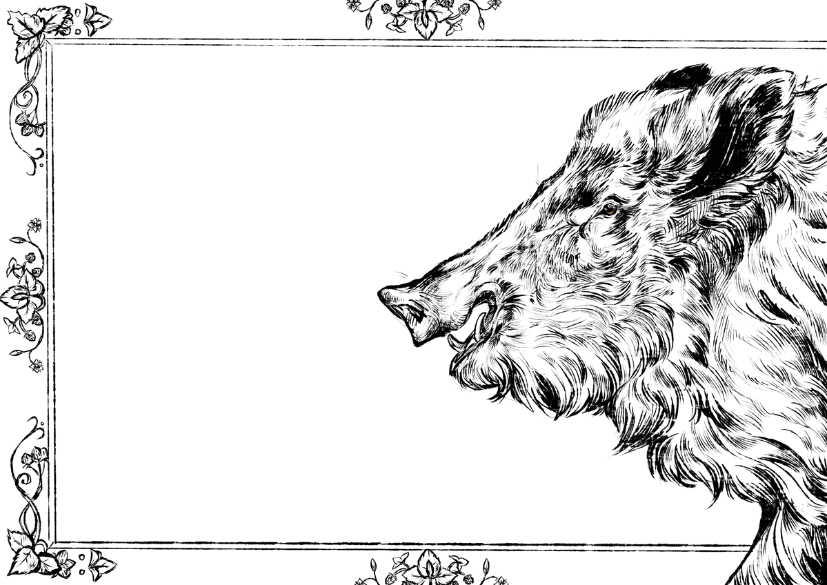 Caproptera999's tweet image. Boar
#sketch