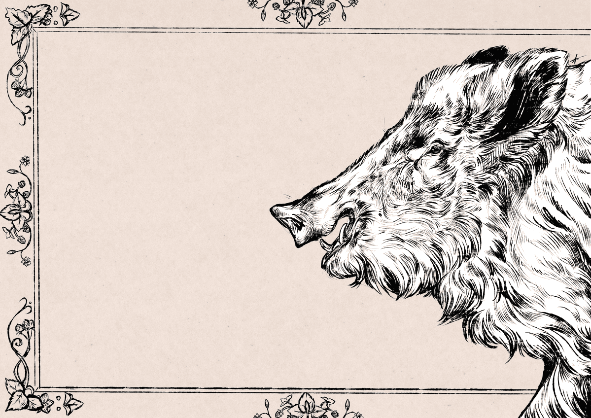 Caproptera999's tweet image. Boar
#sketch