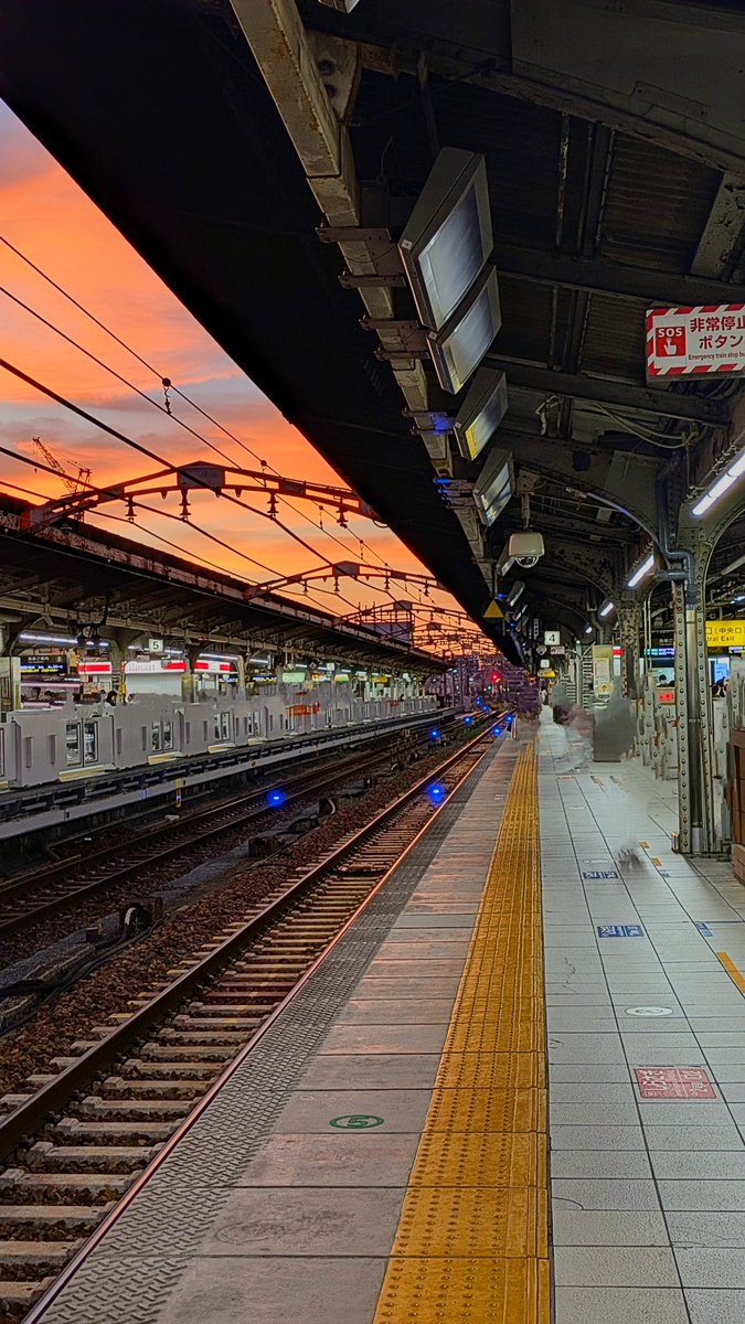 yokoyan1215_08's tweet image. 名古屋駅の夕景