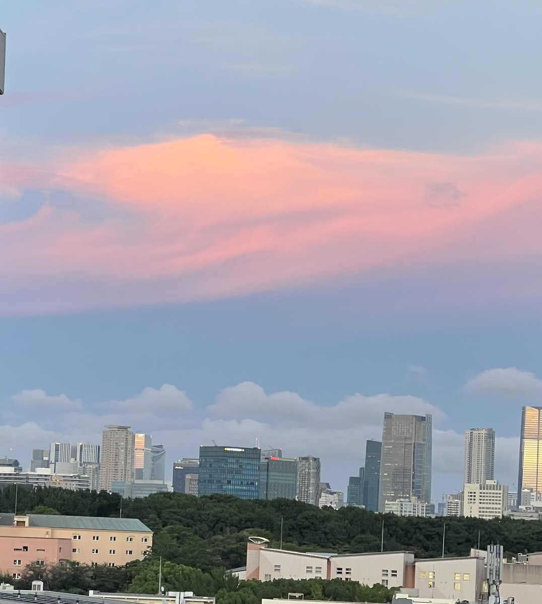 mimozaTokyo's tweet image. こんばんは
夜が来ました〜
いかがお過ごしでいらっしゃいますか?
お相撲終わり今度はプロ野球を
楽しんでいます。
今日の日はさようなら〜
東の空と西の空をパチリッ!
ちょっと薄い色の富士山、お分かりに
なりますかしら?寝ちゃいましたね!
今日も有難うございました。