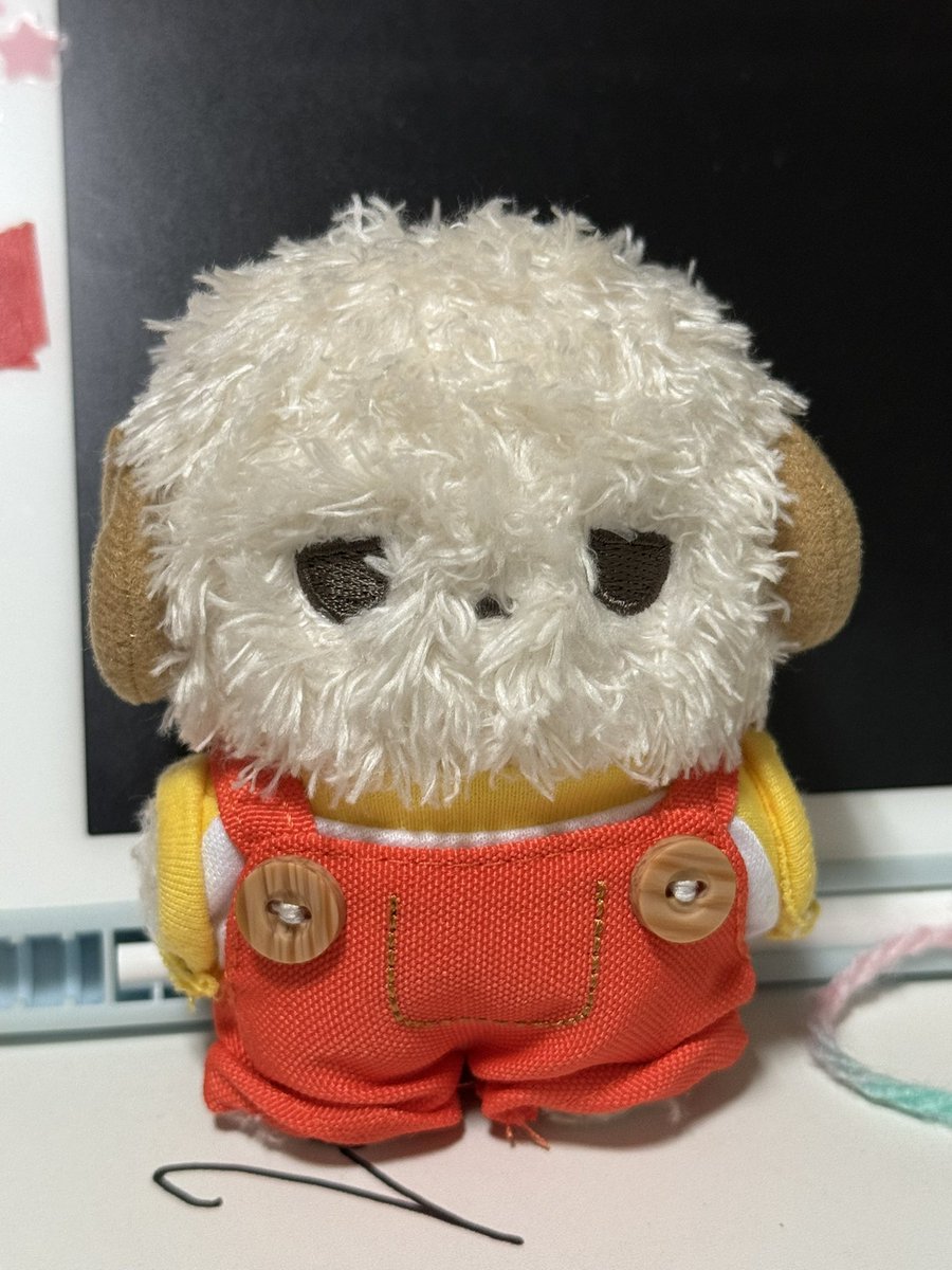 솜뿡주 옷 입혀줬어요…. 
알뜰살뜰 둘둘둘둘 걷어 올려주면 참 귀여운 핏이 나옵니다 !