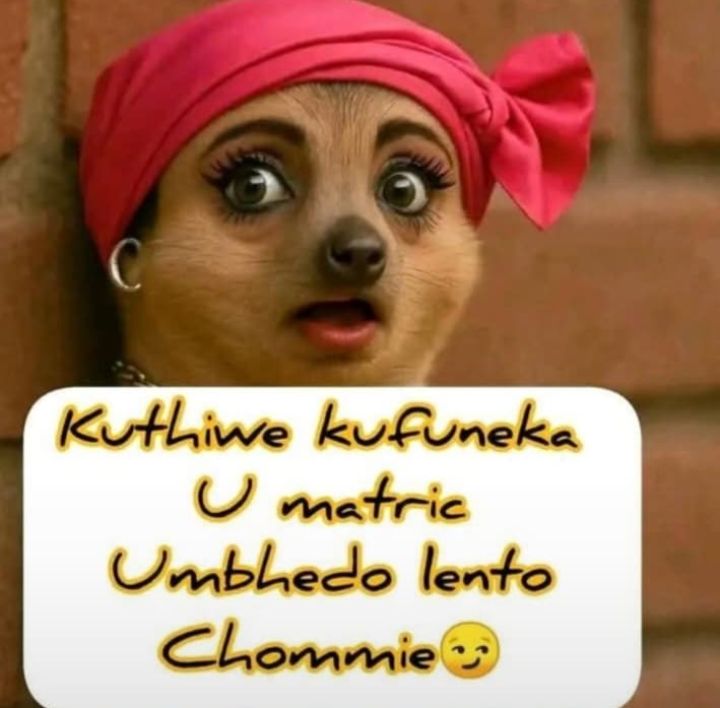 <a href="/uMthembeni/">uMnguni Ka YEYEYE</a> <a href="/ramalokot/">Thuso™ 🇿🇦🇿🇦🇿🇦</a> 🤣😂 you're so evil neh!