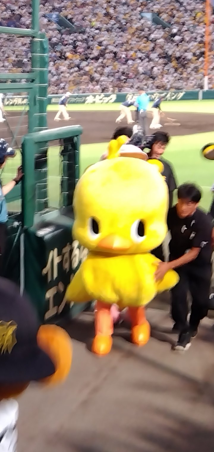 ひよこ♡ ひよこ。 on X: 
