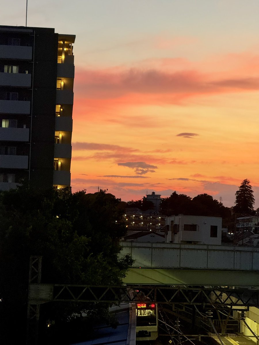 pichikyo's tweet image. 空が綺麗