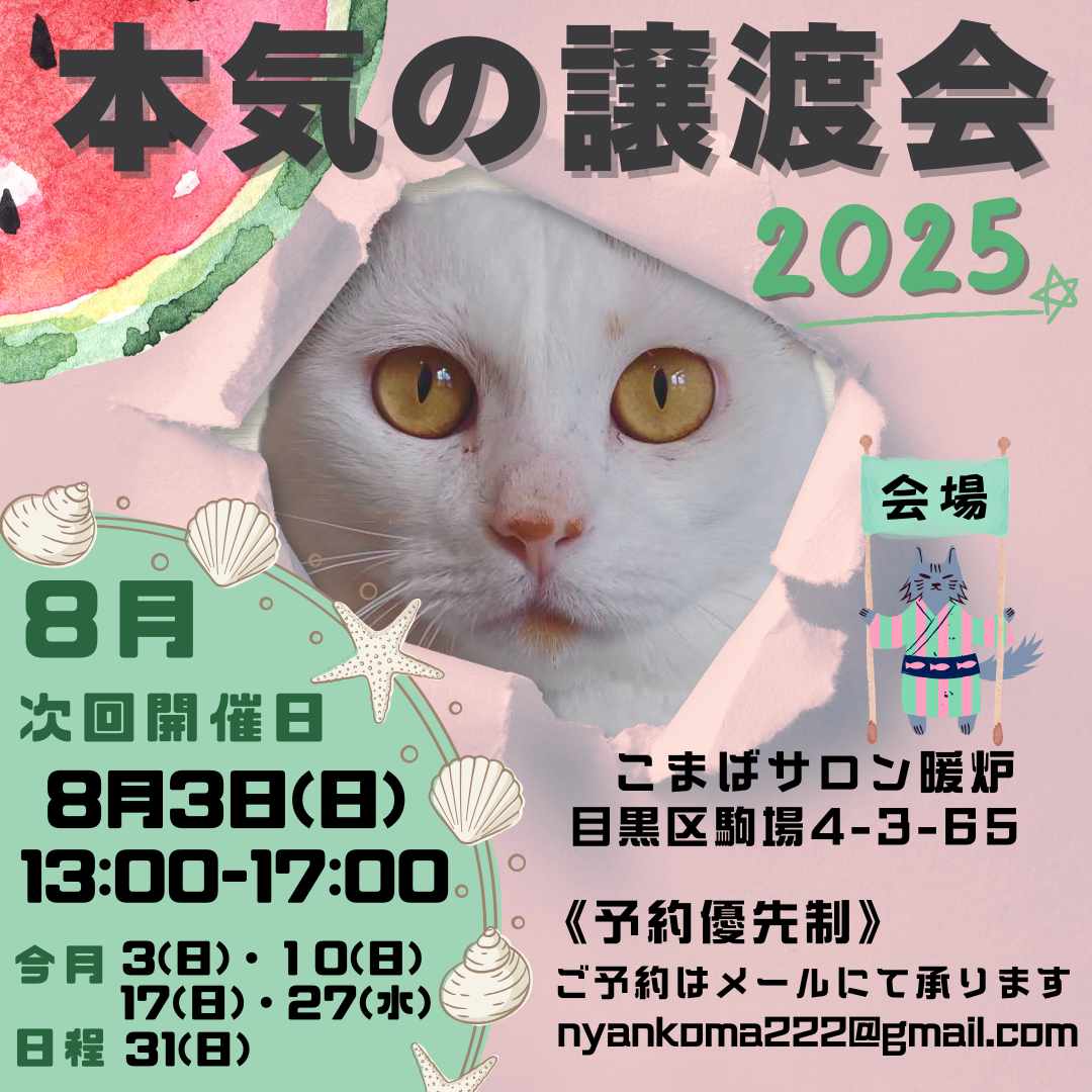 nyankoma2018's tweet image. 次回の本気の譲渡会は8/3(日)13:00~17:00です。
ご予約は

nyankoma222@gmail.com
まで

名前
時間(①13:00~②14:00~③15:00~④16:00~)
会いたい猫がいれば名前
をお知らせください

会場　
東京都目黒区駒場4-3-65
レンタルスペースこまばサロン暖炉

皆さまのご来場お待ちしております。