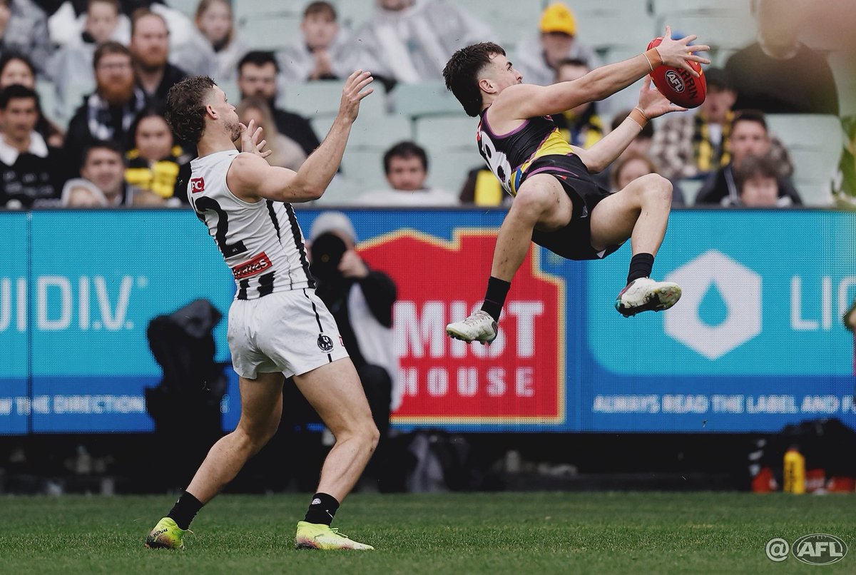 MichaelCWillson's tweet image. Nearly Steely #AFLTigersPies