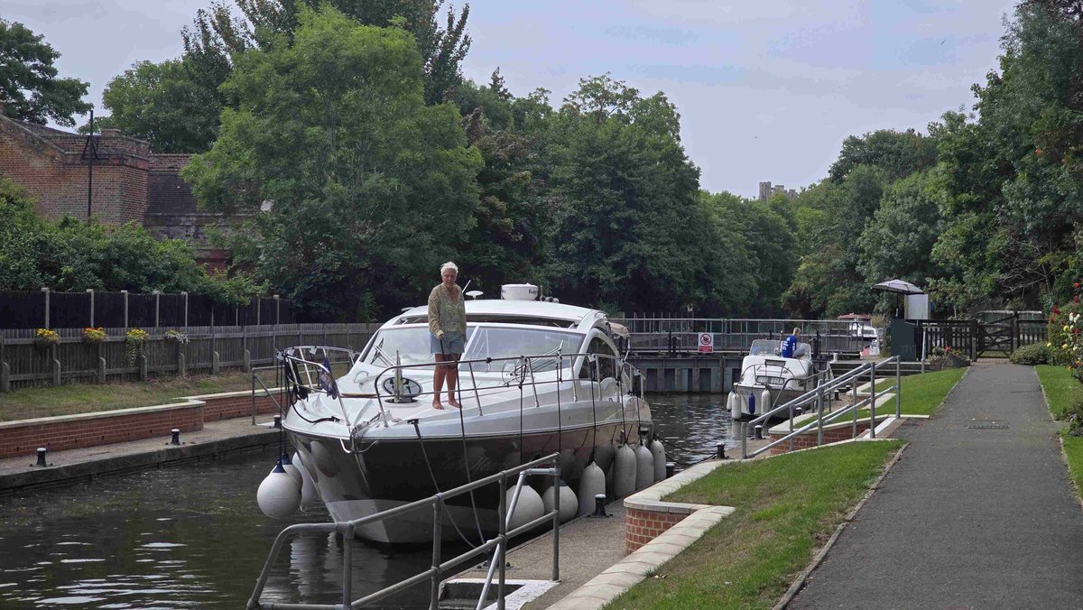 Romney Weir tweet media