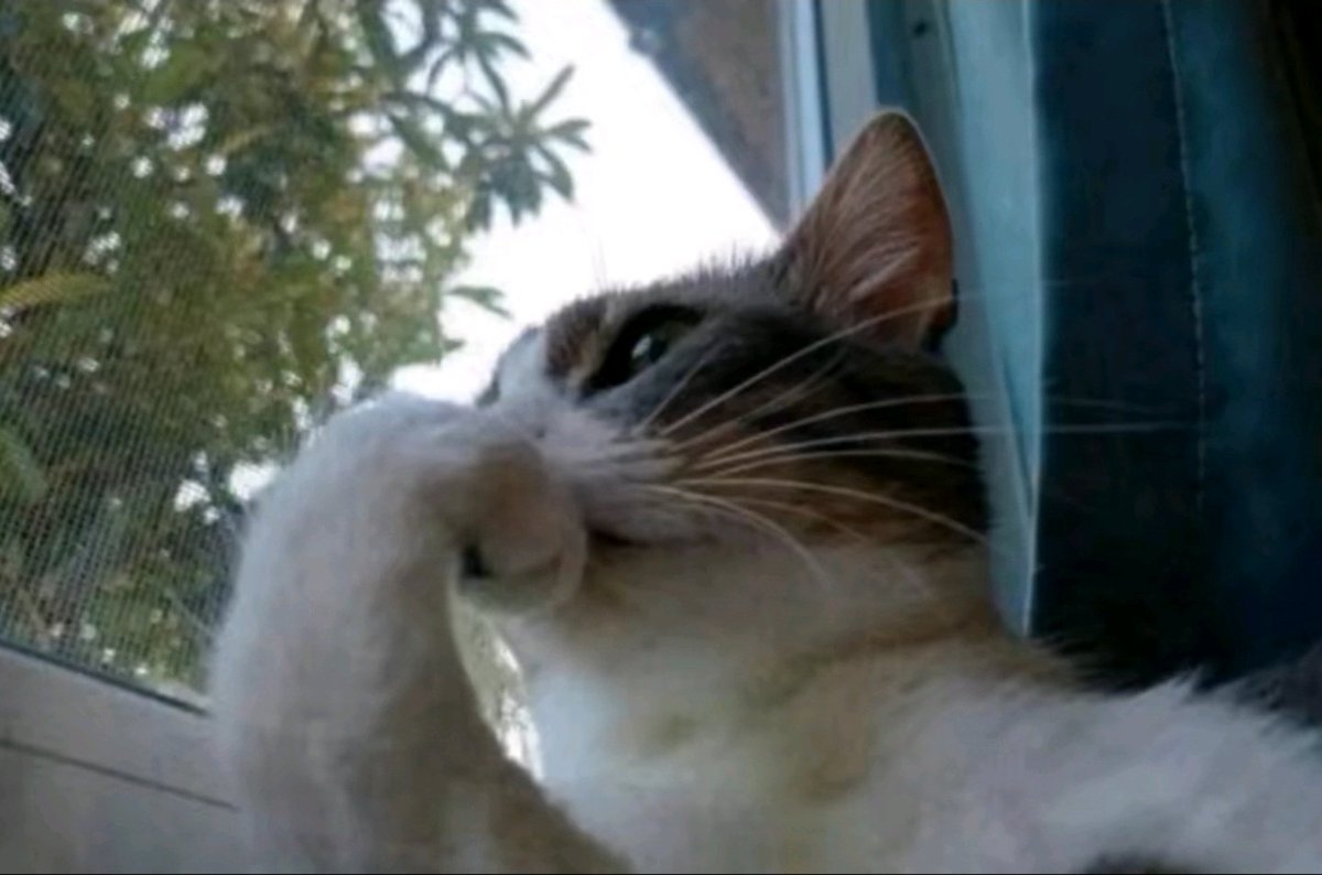 LeRandomBro's tweet image. Alright I gotta start using twitter more often