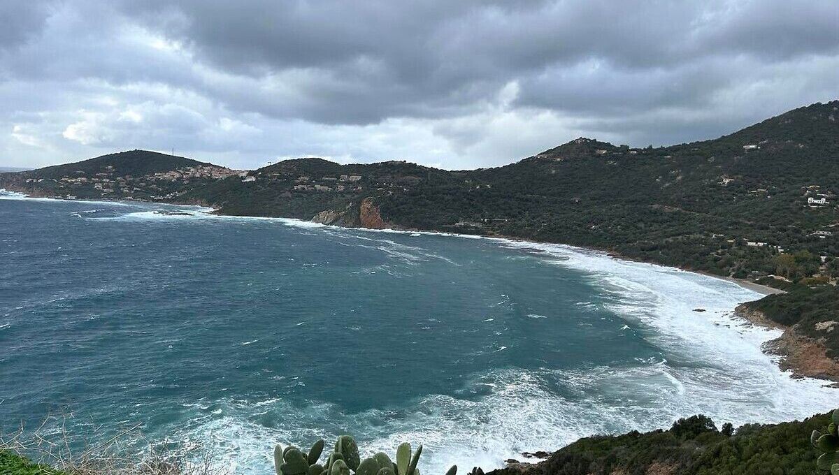 icircfm's tweet image. Corse-du-Sud : la baignade est "fortement déconseillée" ce dimanche 27 juillet
➡️ l.ici.fr/IcZ