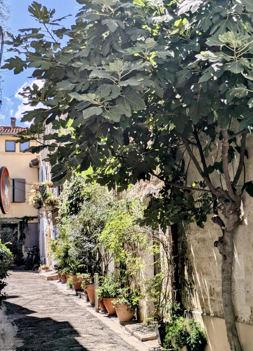 Myrthios13's tweet image. ☺️☺️☺️
☺️☺️☺️
☺️☺️☺️
☺️☺️☺️

De nouveau …nos ruelles Arlésiennes …et leurs petites cours secrètes 💞💞

👍👍👍