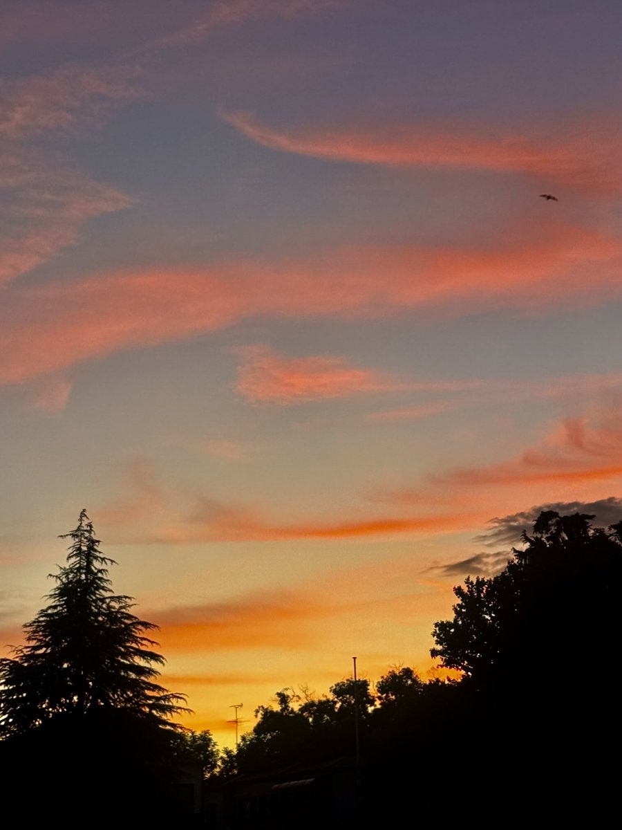 spkf1's tweet image. イマソラ...その2

〜綺麗に焼けたので...♪♪