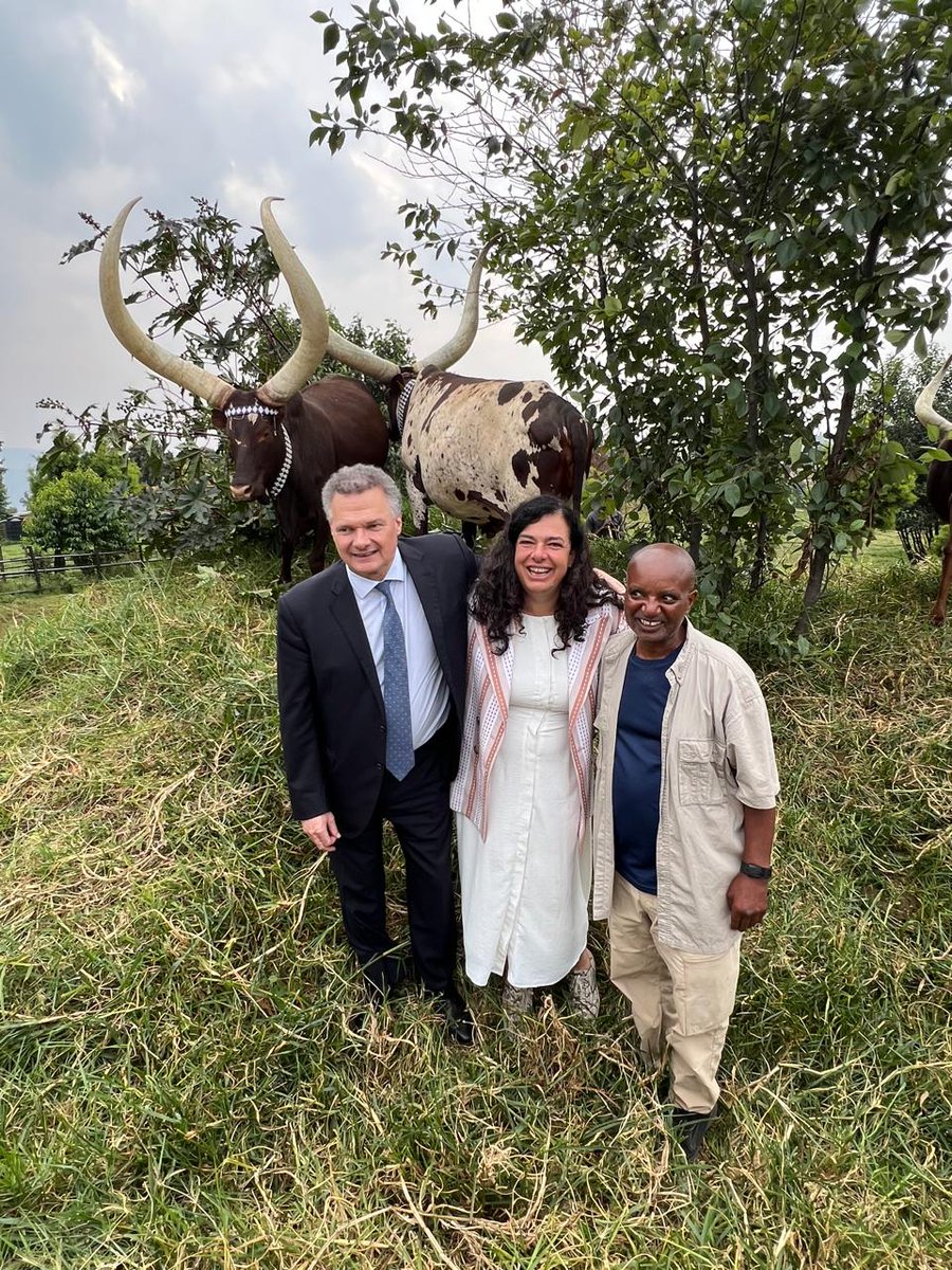 antoine_anfre's tweet image. Avec @BelenCalvoEU, Ambassadrice de l'UE 🇪🇺 au #Rwanda 🇷🇼, et Maître Rutinywa Rugeyo, éleveur de vaches Inyambo, sur ses terres à Mulindi dans le district de Gicumbi (Province du Nord)