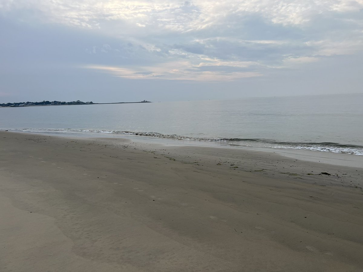 paradisoins's tweet image. Sunday run  LFG