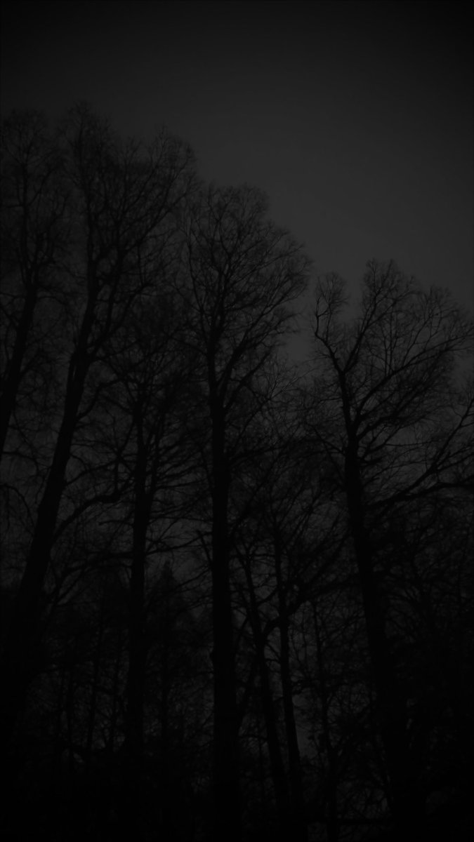 EwigkeitTiefe's tweet image. 