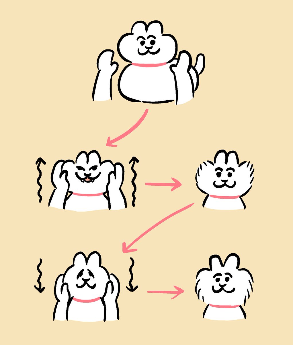 nekotoshimobe's tweet image. ねこの顔で遊びがち